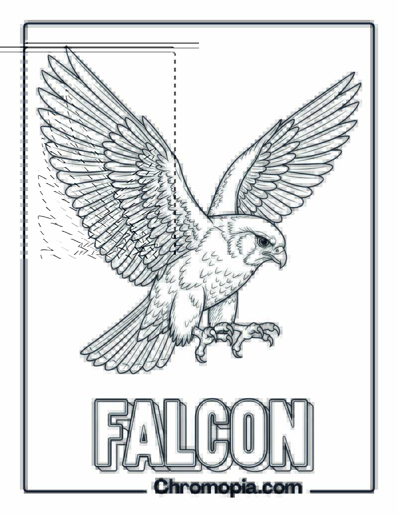 Falcon coloring page