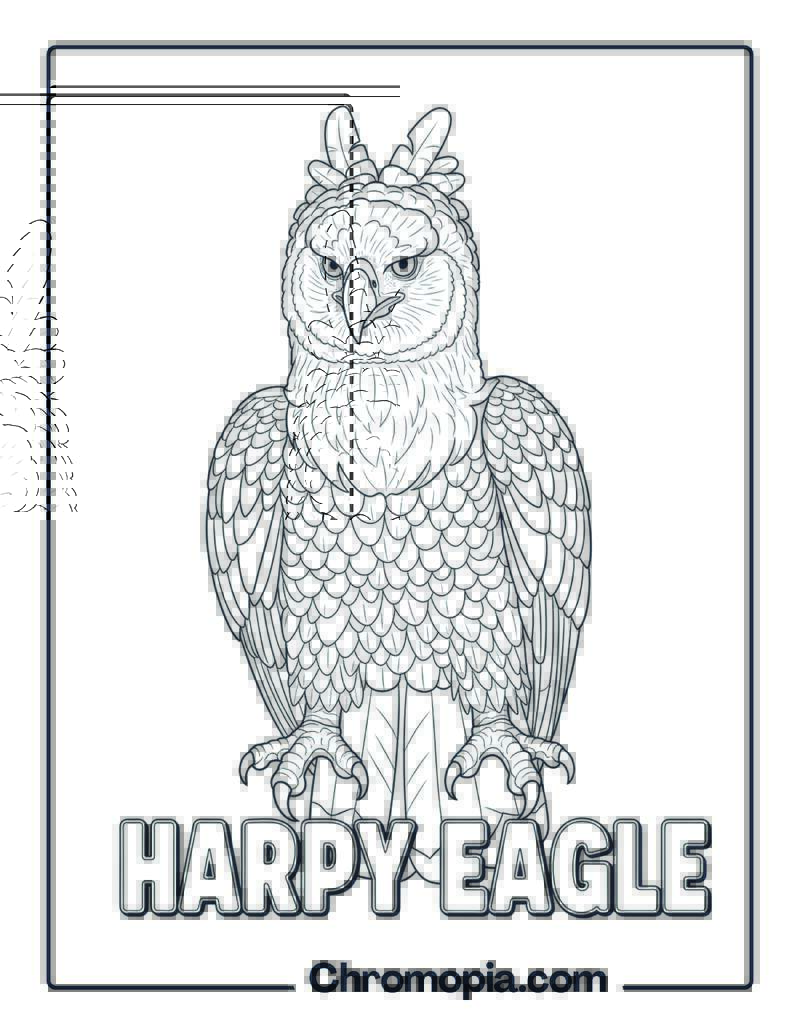 Harpy Eagle coloring page