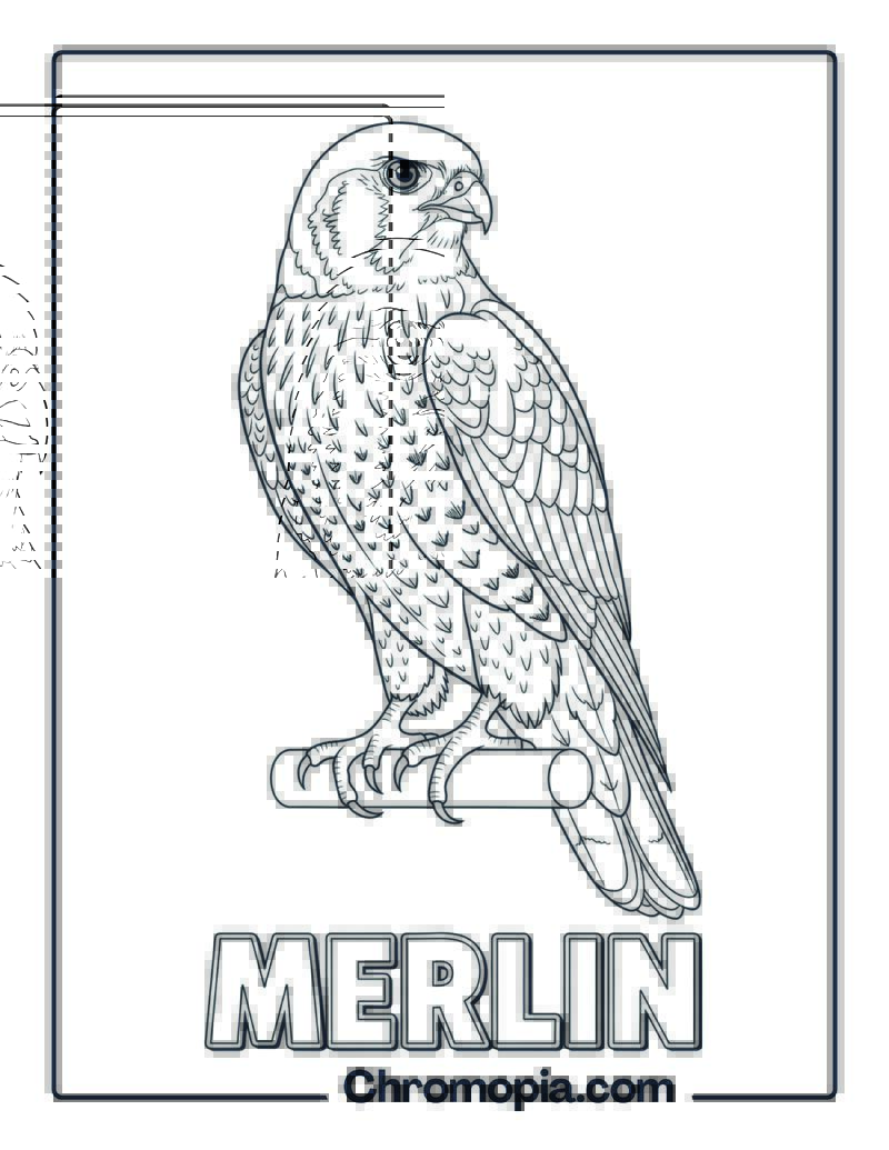 Merlin coloring page