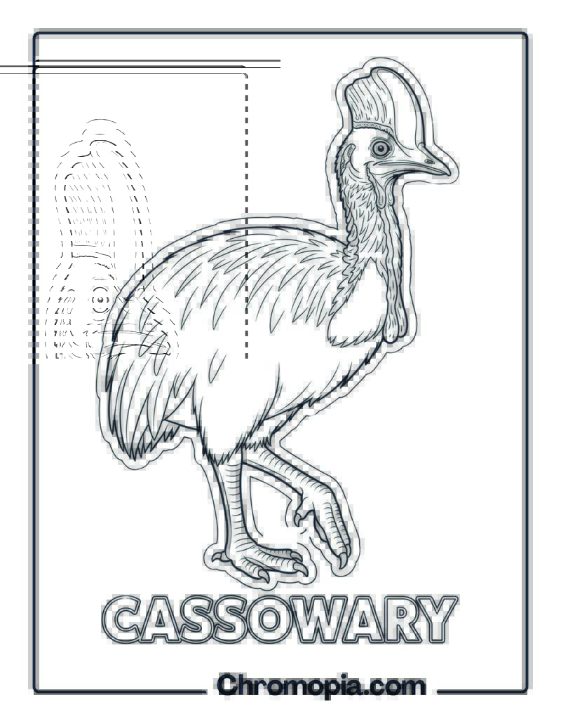 Cassowary coloring page