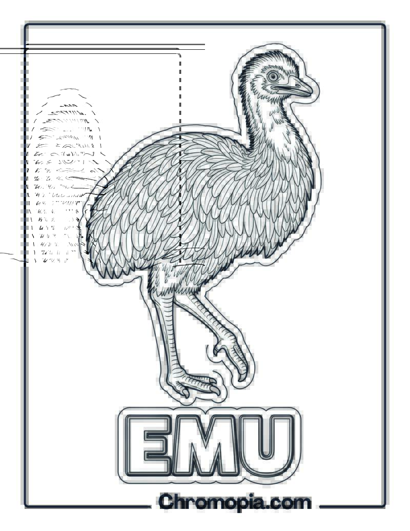 Emu coloring page