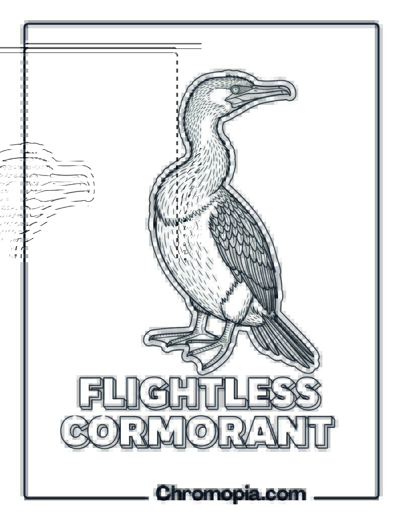 Flightless Cormorant coloring page