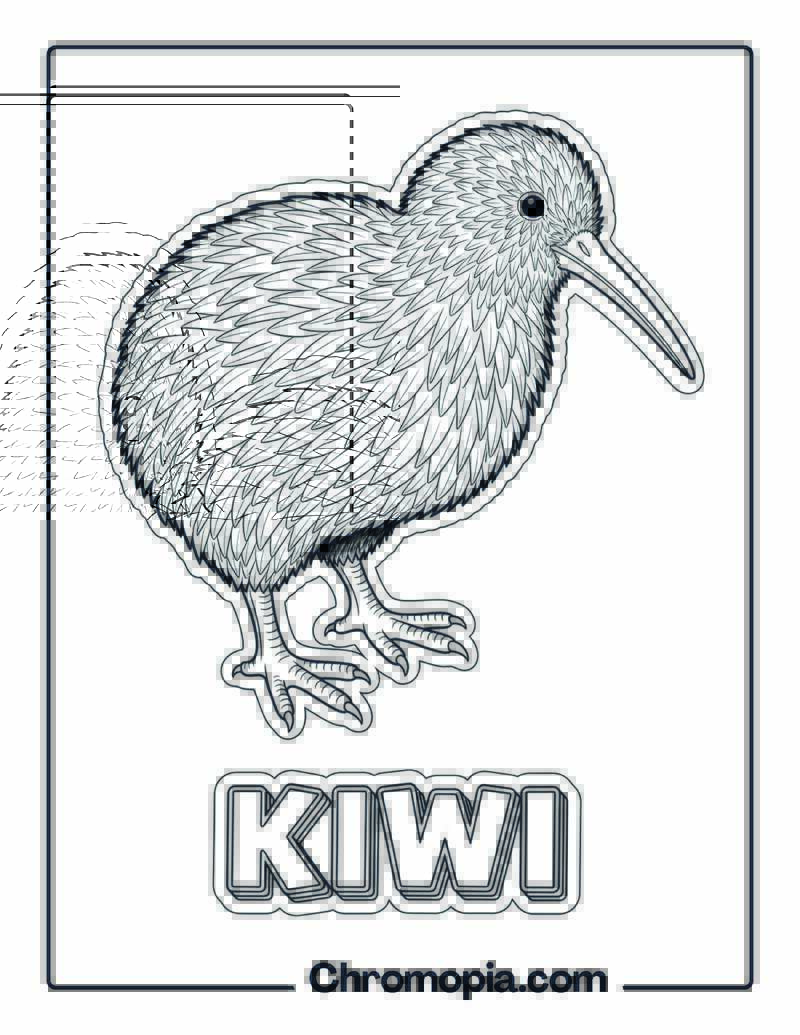 Kiwi coloring page