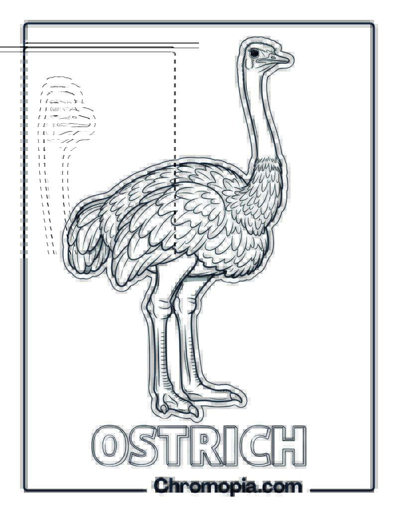 Ostrich coloring page