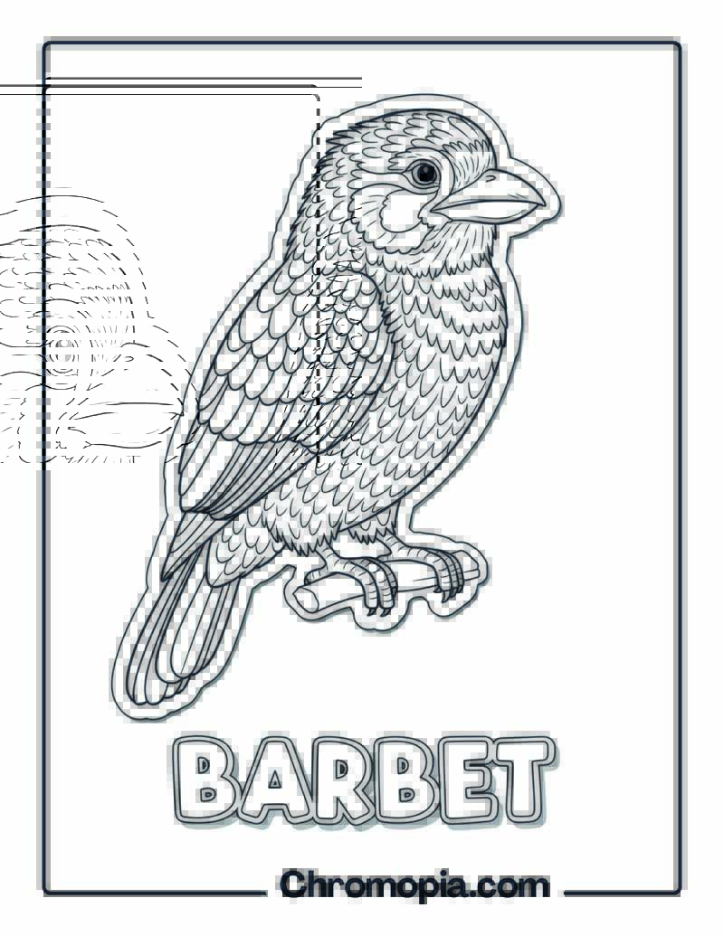 Barbets coloring page