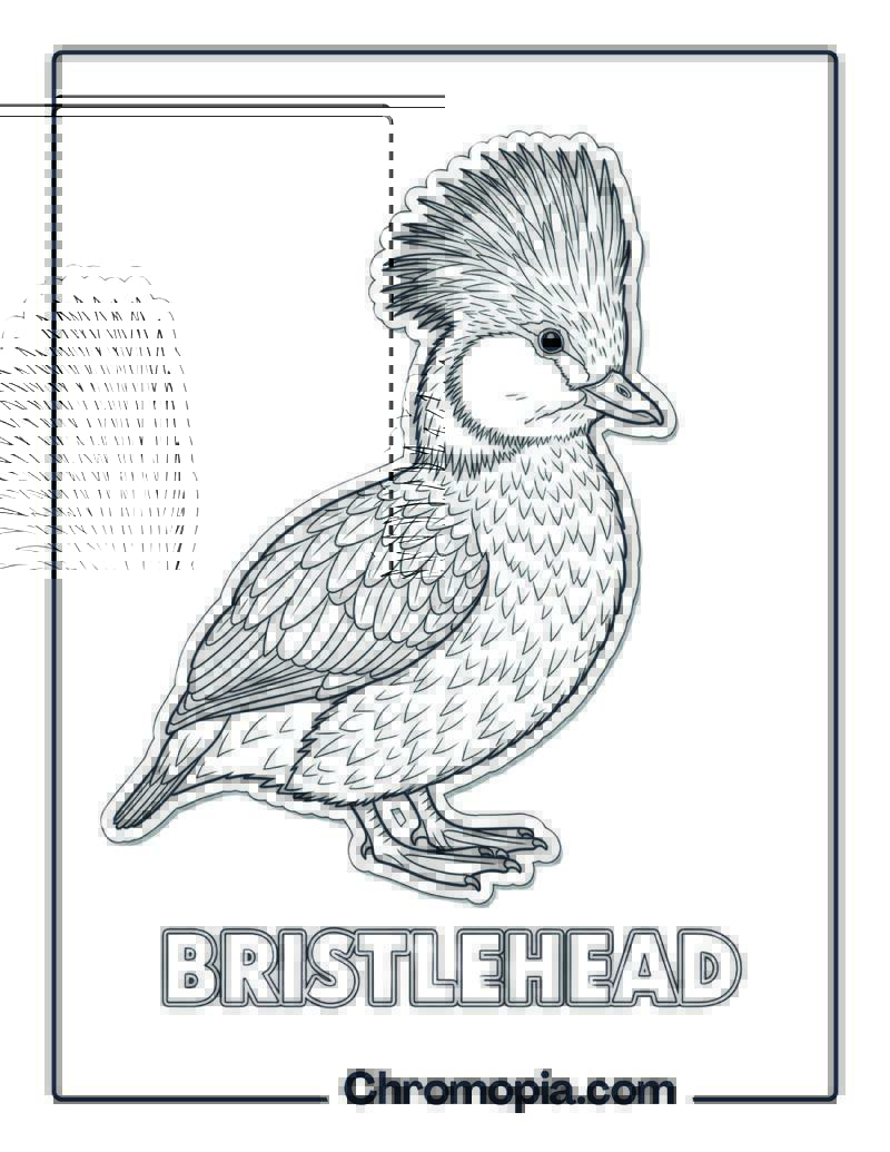 Bristlehead coloring page