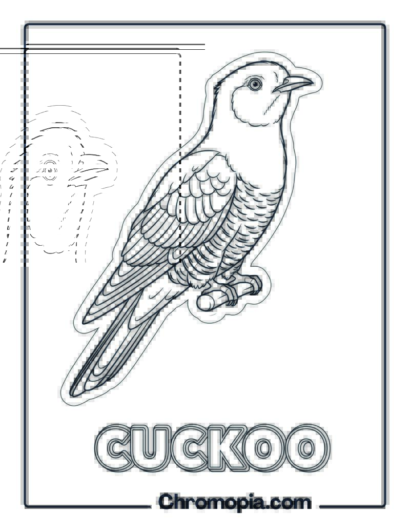 Cuckoo coloring page