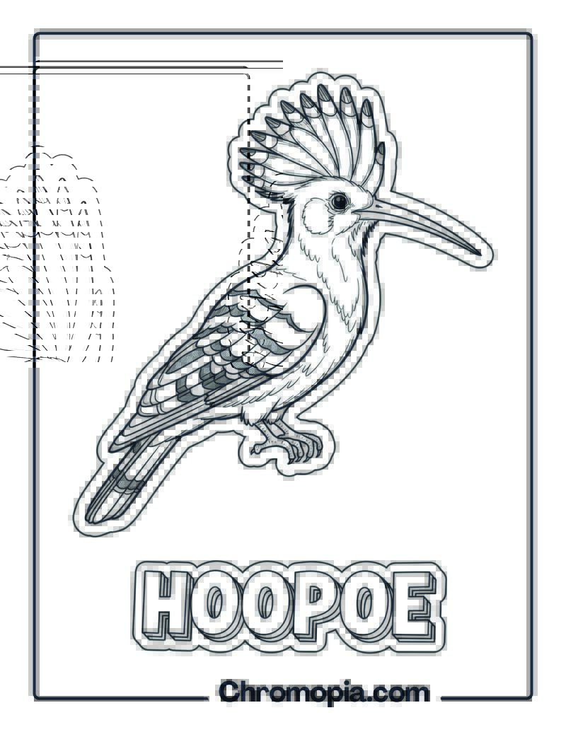 Hoopoe coloring page