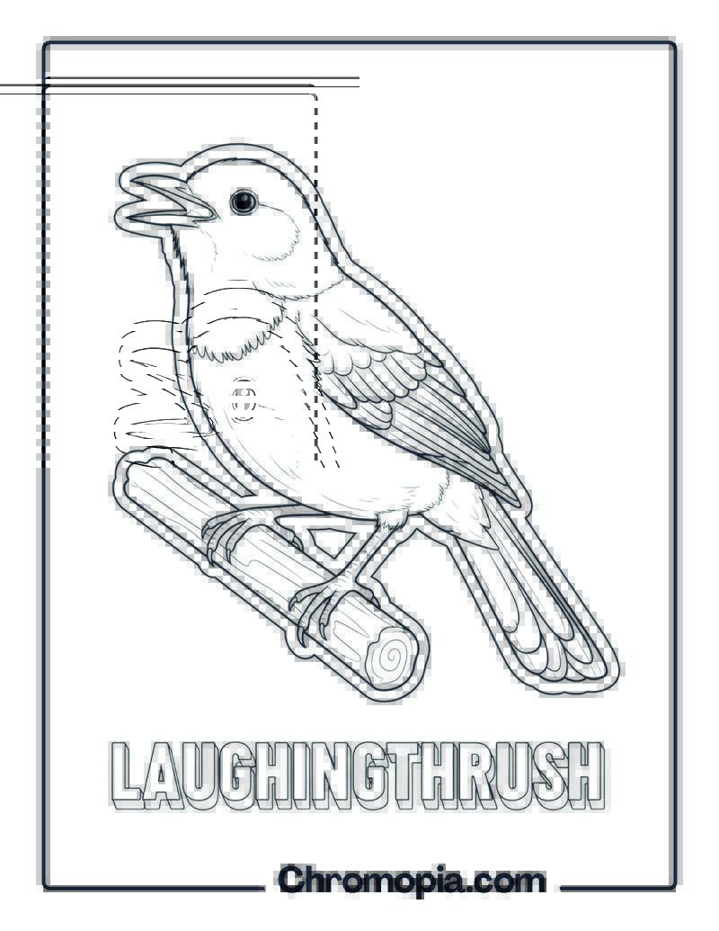 Laughingthrush coloring page