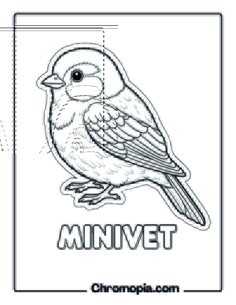 Minivet coloring page