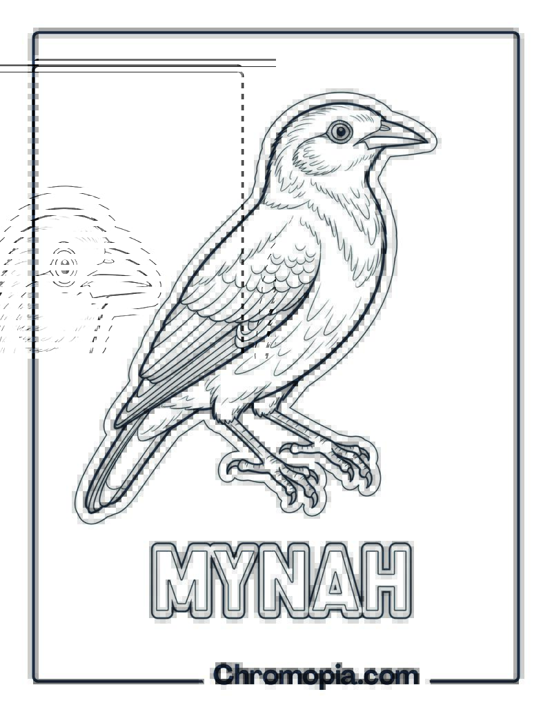 Mynah coloring page