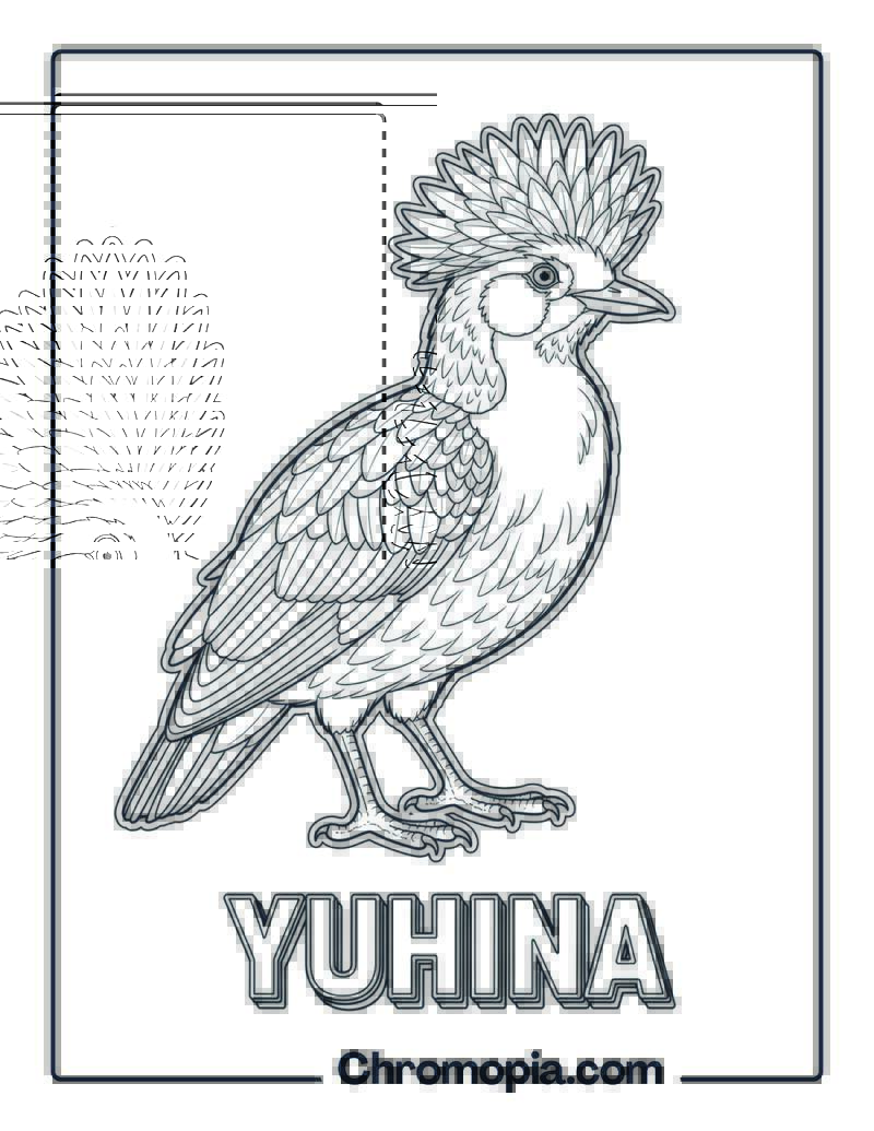 Yuhina coloring page