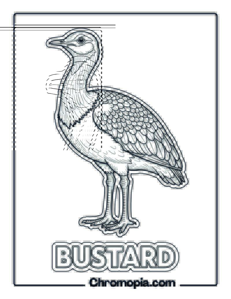 Bustard coloring page