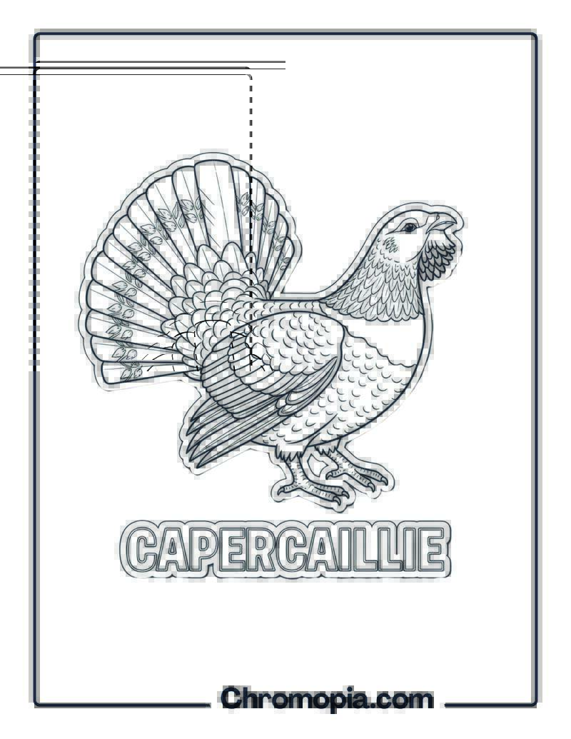Capercaillie coloring page