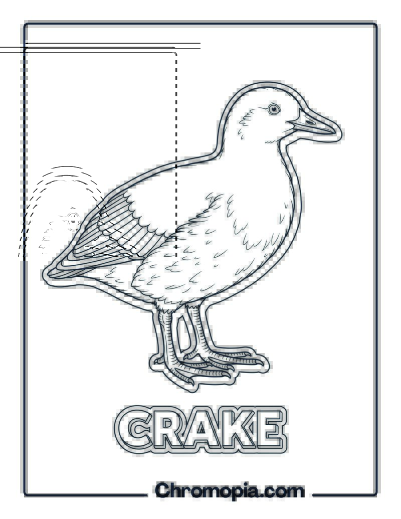 Crake coloring page