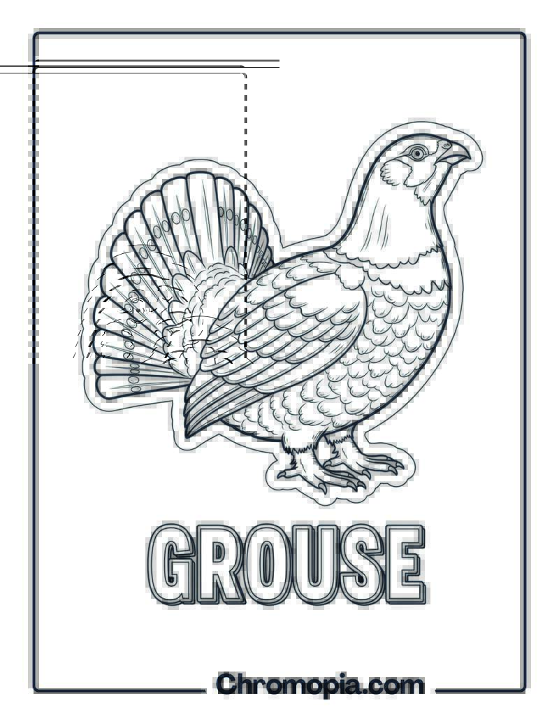 Grouse coloring page