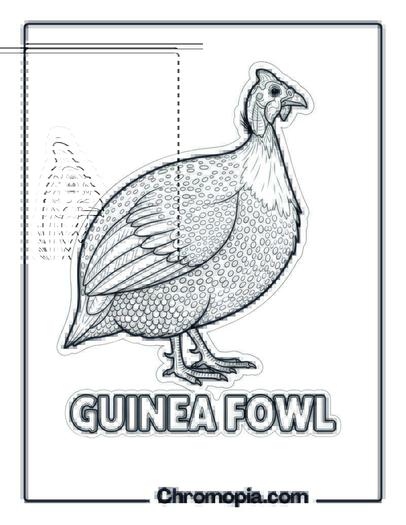 Guinea Fowl coloring page