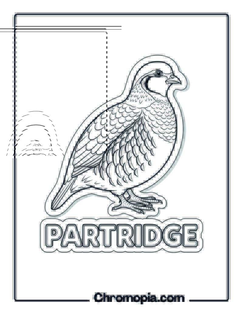 Partridge coloring page