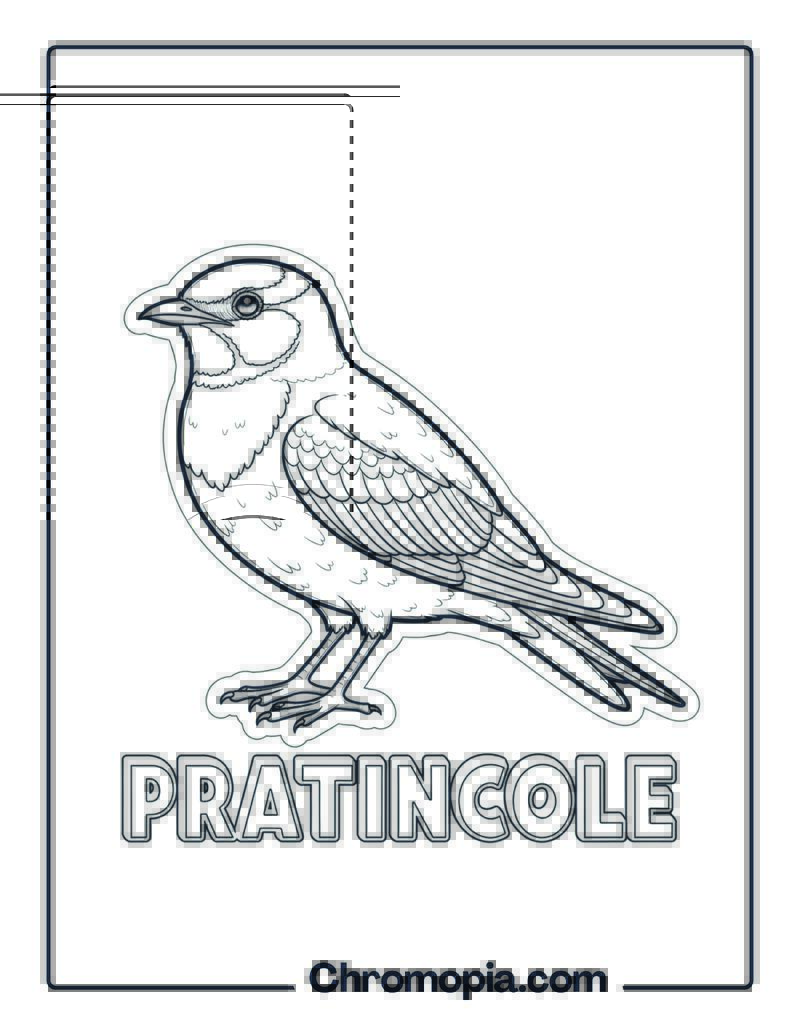 Pratincole coloring page