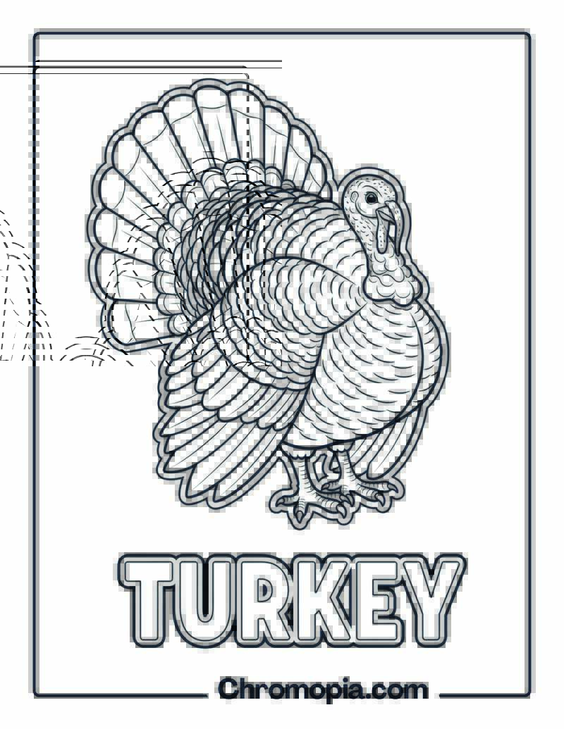 Turkey coloring page