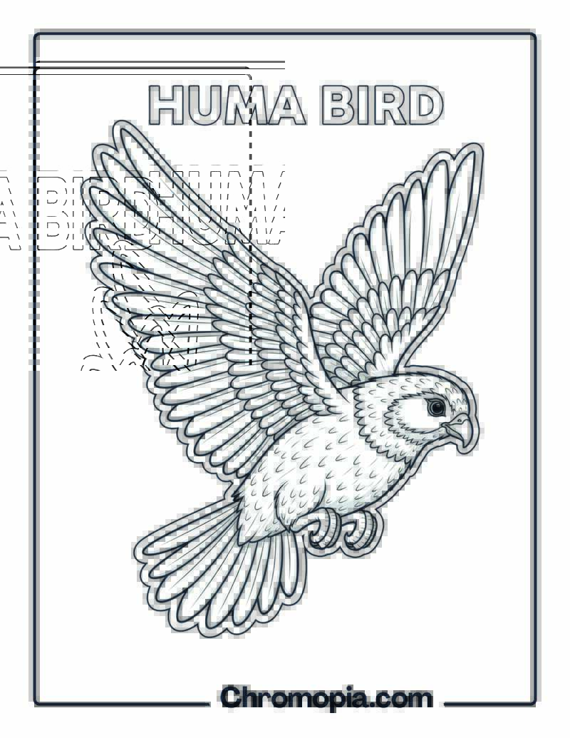 Huma Bird coloring page