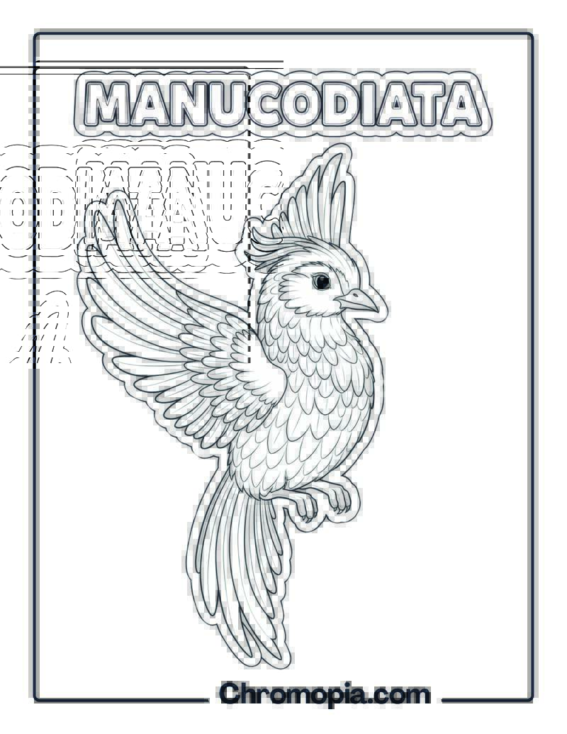 Manucodiata coloring page