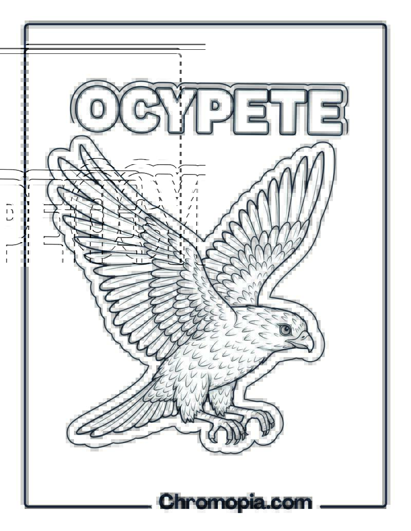 Ocypete coloring page