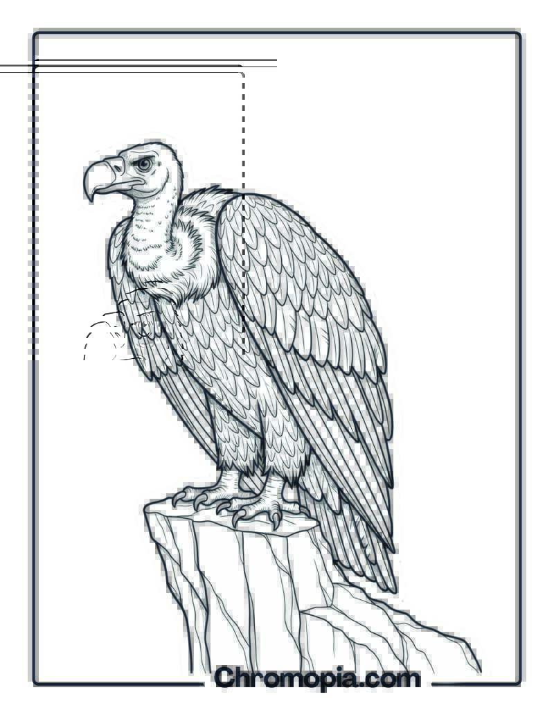 Sampati coloring page