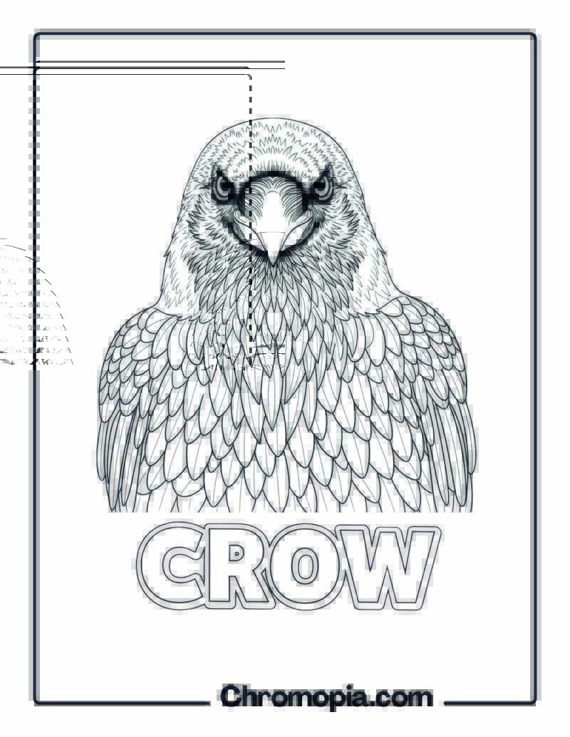 Crow coloring page