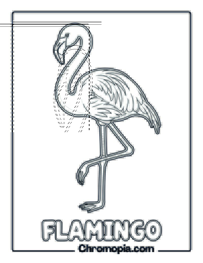 Flamingo coloring page