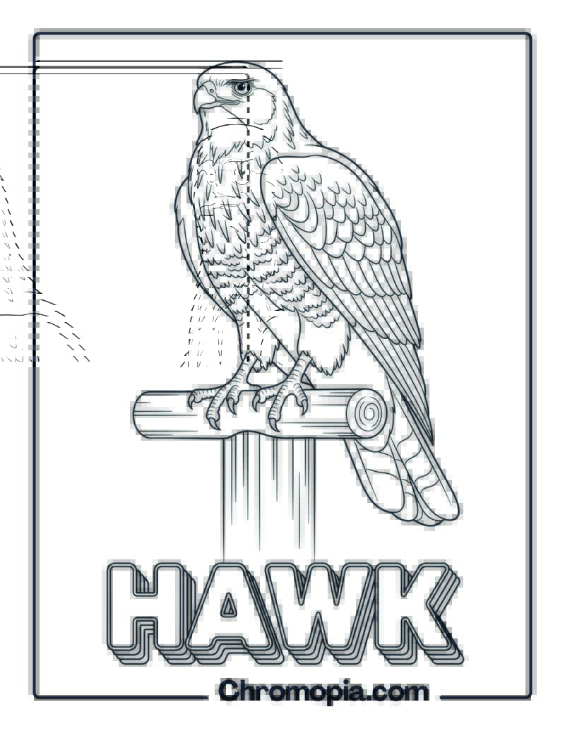 Hawk coloring page