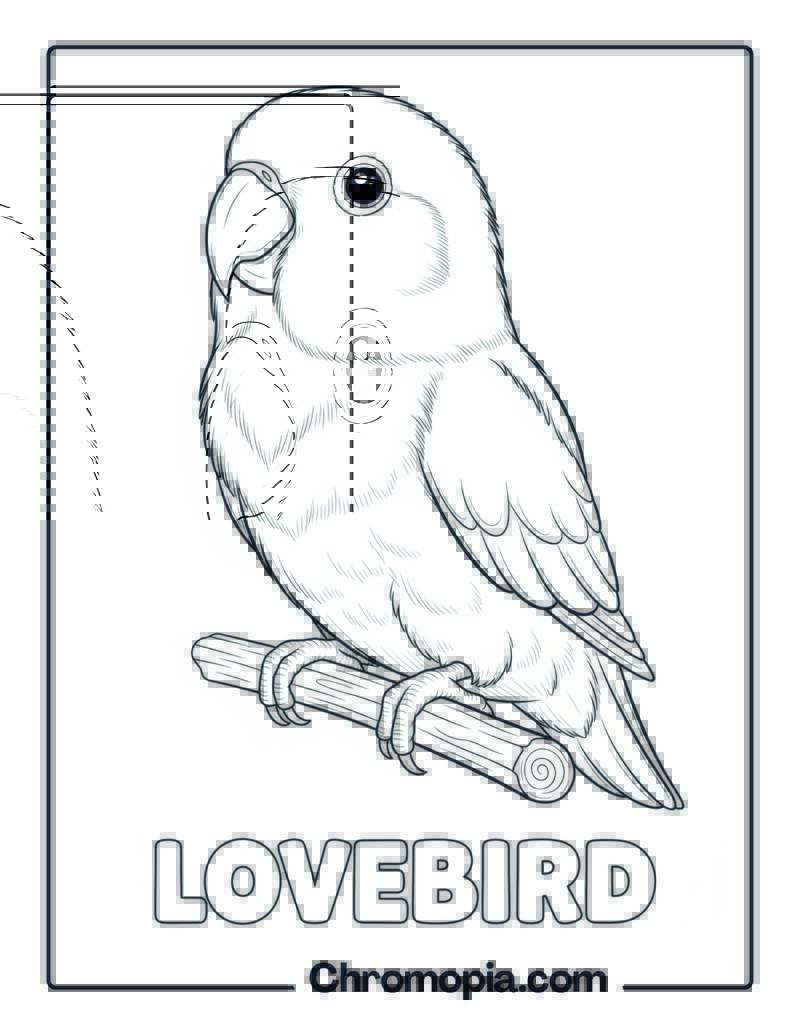 Lovebird coloring sheet
