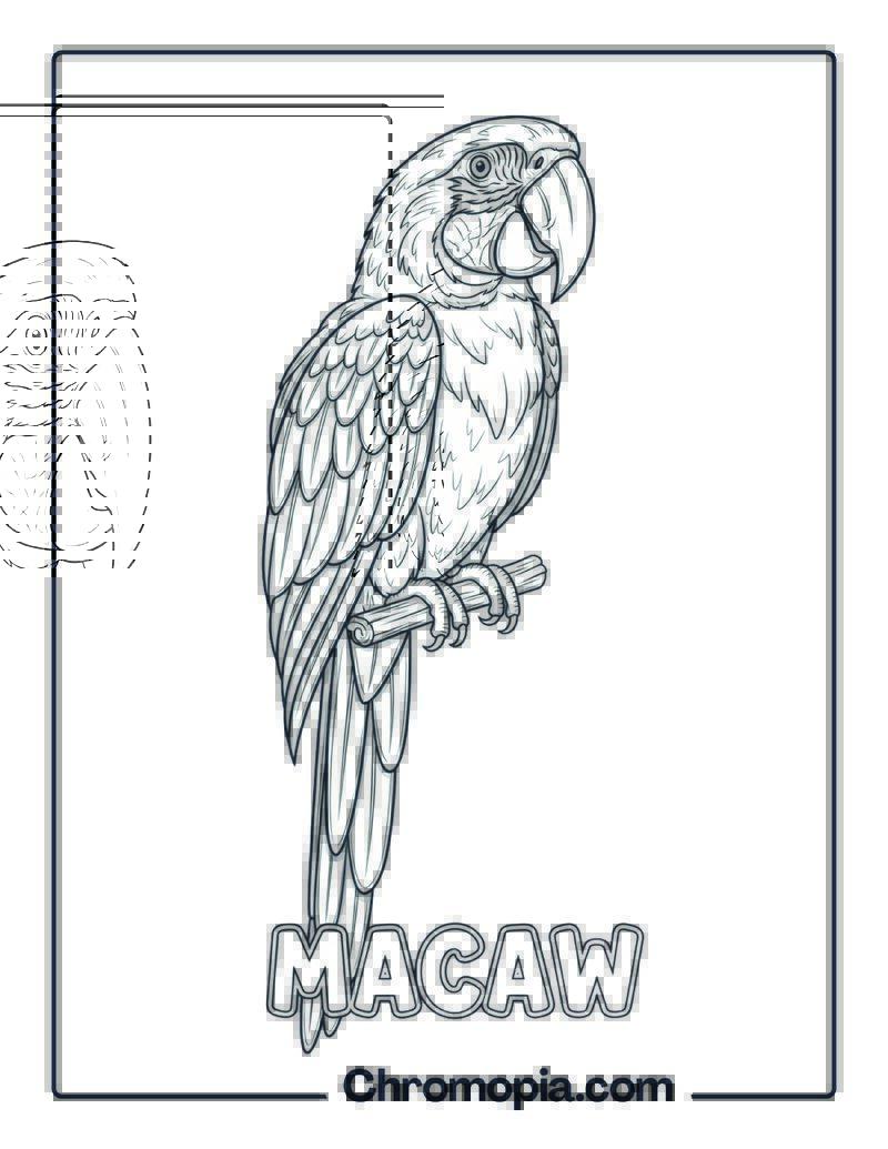 Macaw coloring page