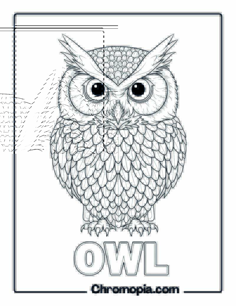 Owl coloring page