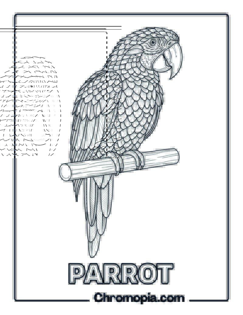 Parrot coloring page