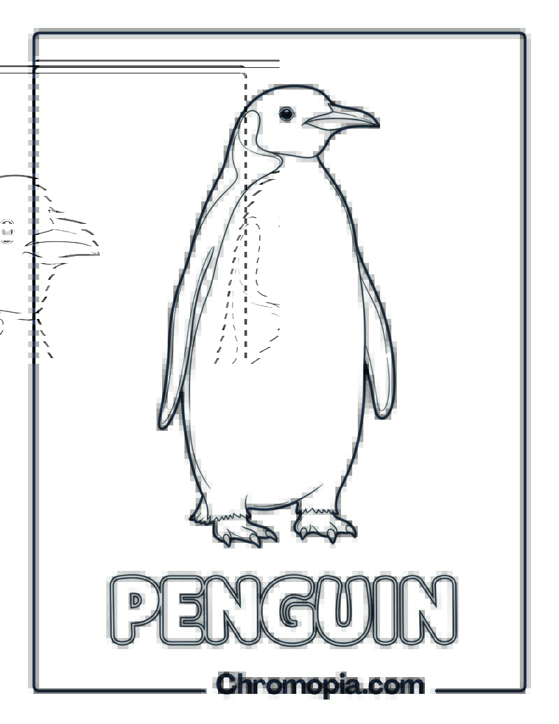 Penguin coloring page