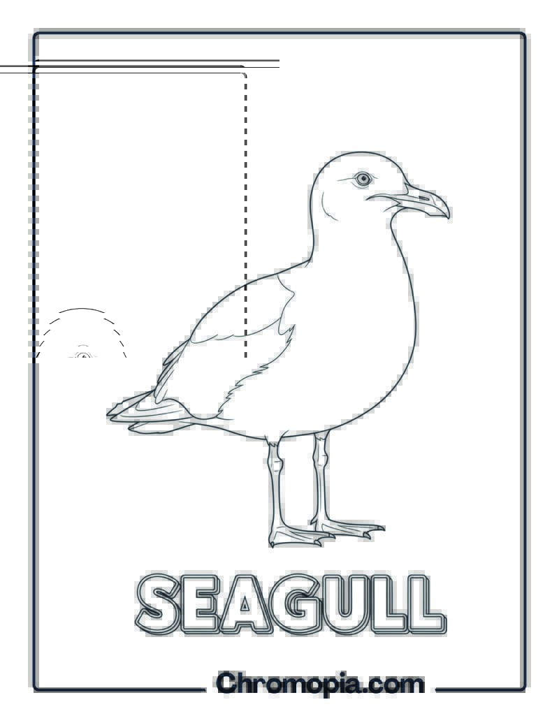 Seagull coloring page
