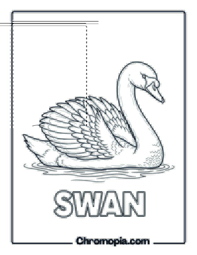 Swan coloring page