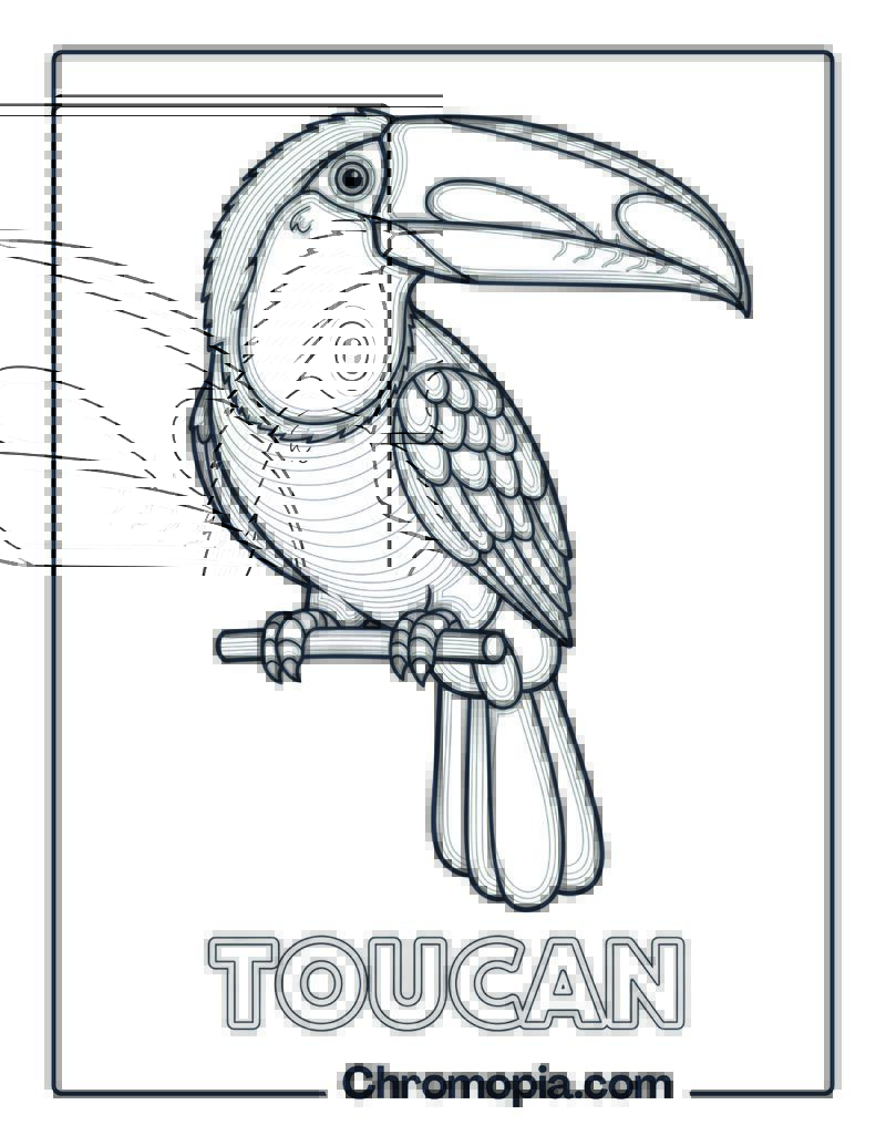 Toucan coloring sheet
