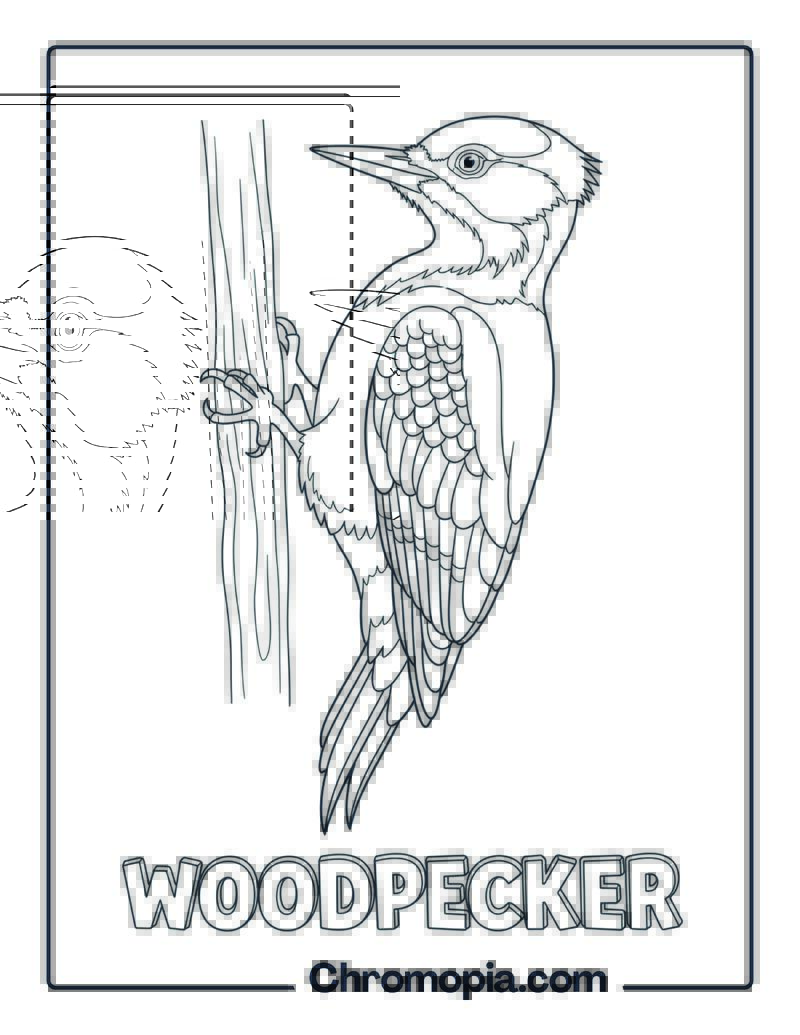 Woodpecker coloring page