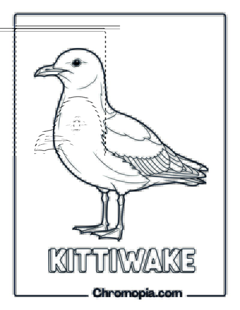 Kittiwake coloring page