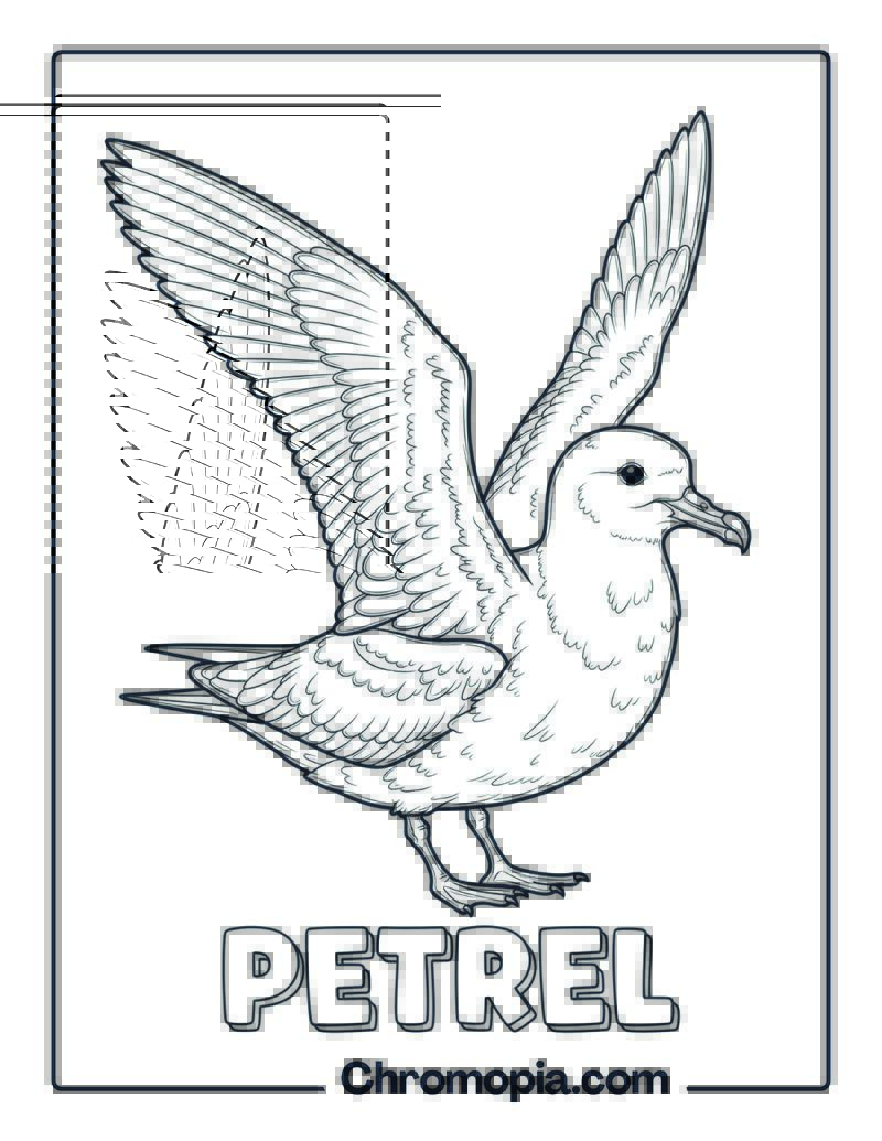 Petrel coloring page