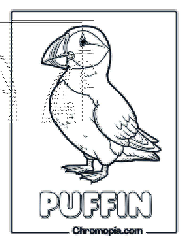 Puffin coloring page