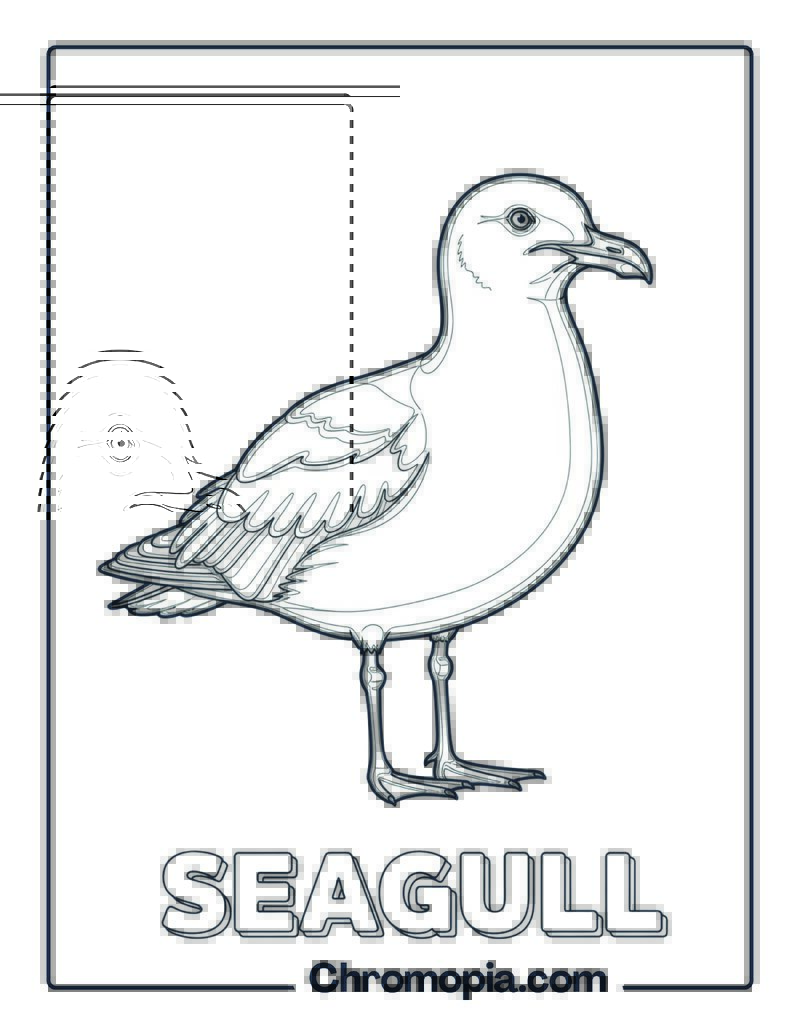 Seagull Coloring Page