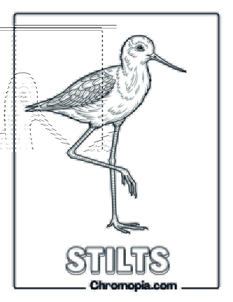 Stilts coloring page