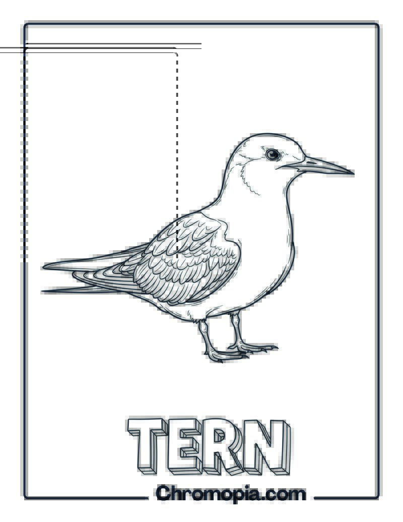 Tern coloring page