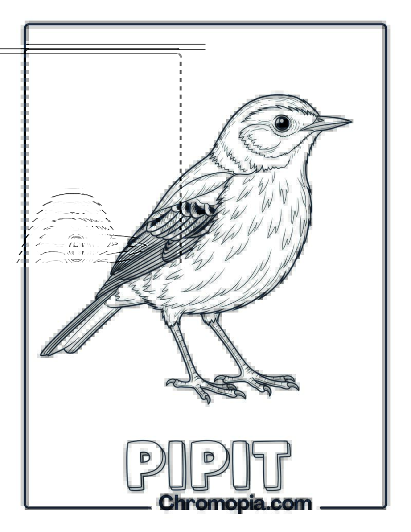 Pipit coloring page