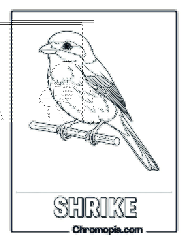 Shrike coloring page