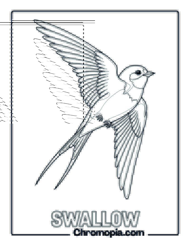 Swallow coloring page