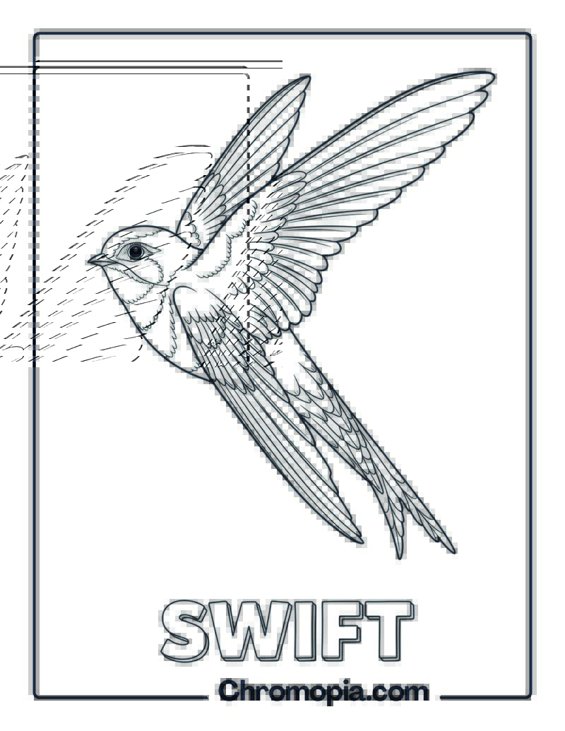 Swift coloring page